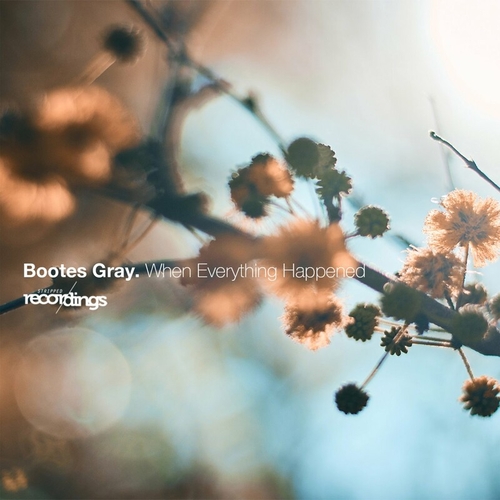 Bootes Gray - When Everything Happened [320SR]
